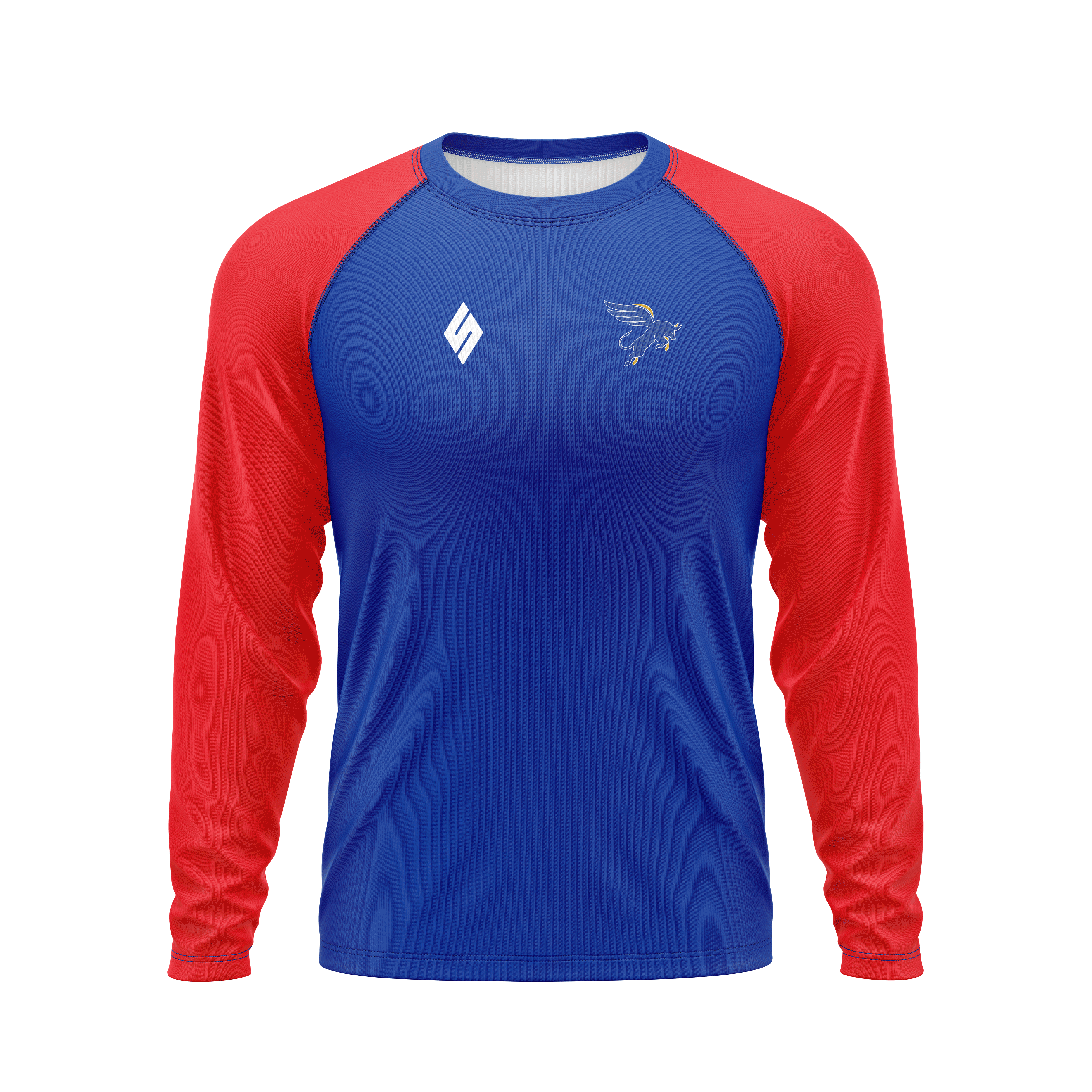 Team Long Sleeve Raglan Top