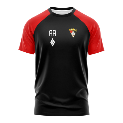 Committee Team Raglan Tee