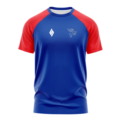 Team Raglan Tee