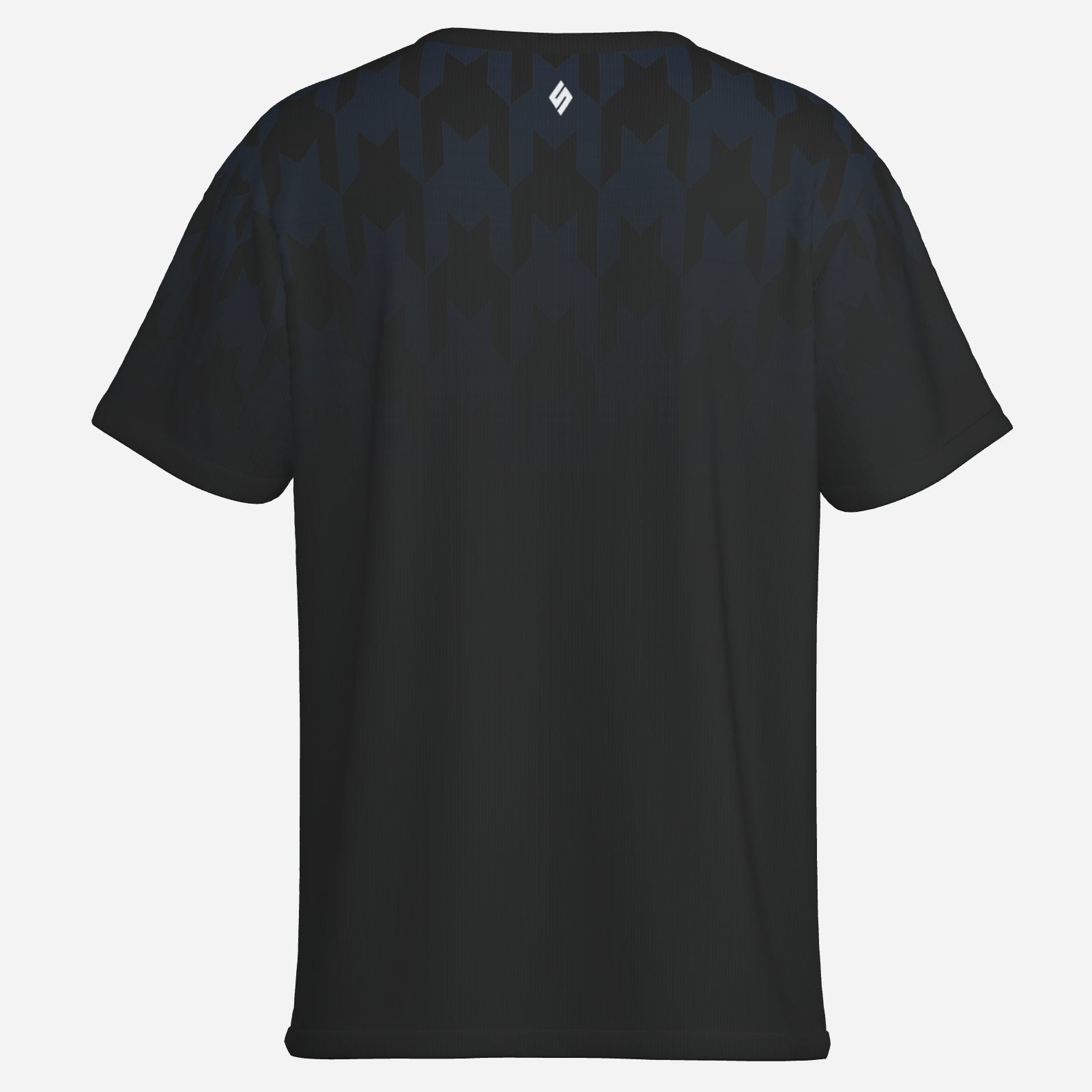 Lancashire Swimming Club Training Tee